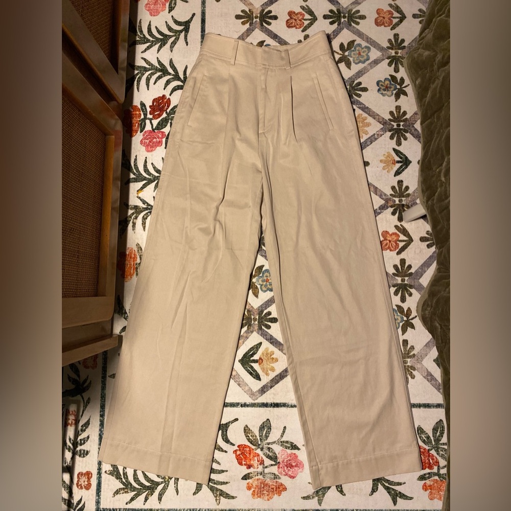 Everlane Way-High Drape Pants
